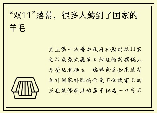 “双11”落幕，很多人薅到了国家的羊毛