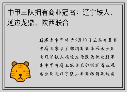 中甲三队拥有商业冠名：辽宁铁人、延边龙鼎、陕西联合